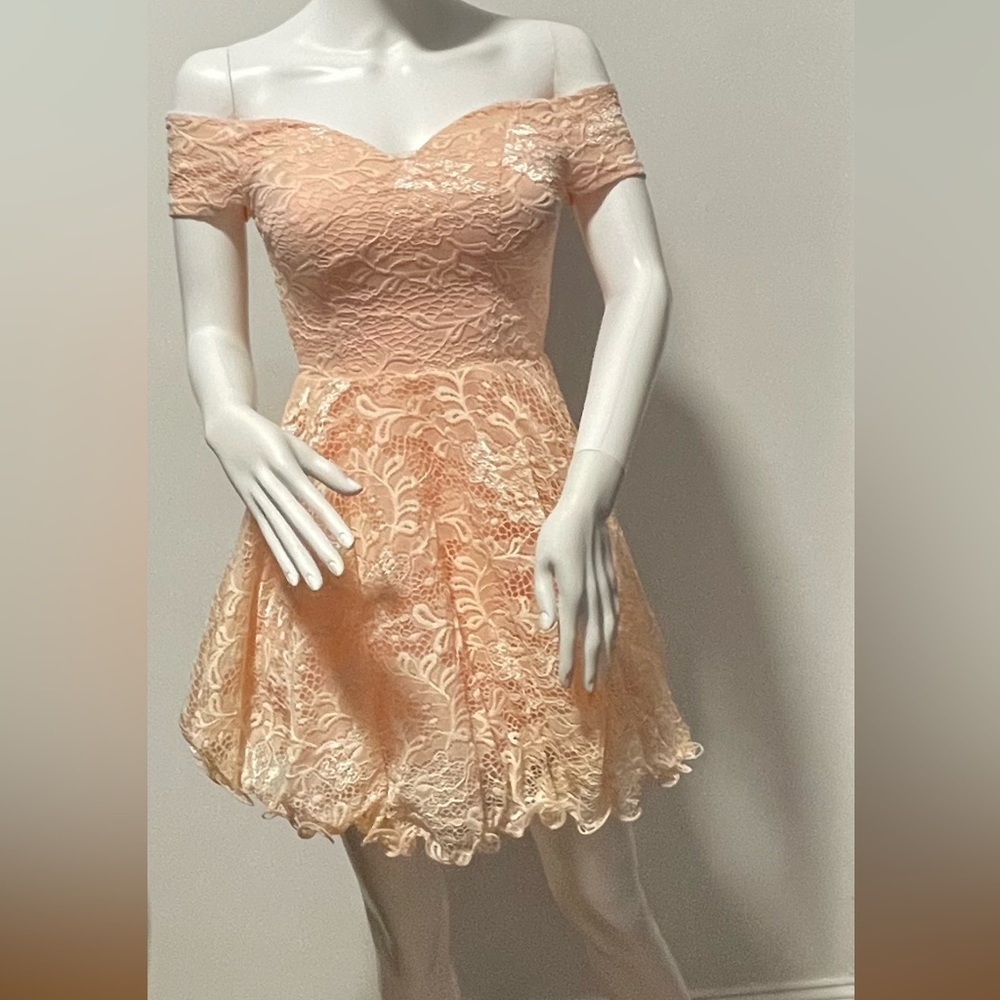 Windsor Pink Lace Strapless Dress - Picture 7 of 13